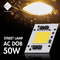AC200-240V ΣΠΆΔΙΚΑΣ 30-50W 3000K 6000K εναλλασσόμενου ρεύματος των οδηγήσεων για το υπαίθριο αυξανόμενο φως