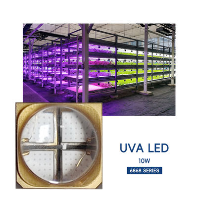 Φαρμακευτικό άμεσο υψηλής ισχύος UVA LED chip SMD6868 365nm 385nm 395nm 10W UV LED φως για UV θεραπεία και 3D εκτυπωτή