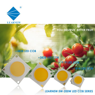 LED COB για τοίχο λαμπτήρα και προβολέα