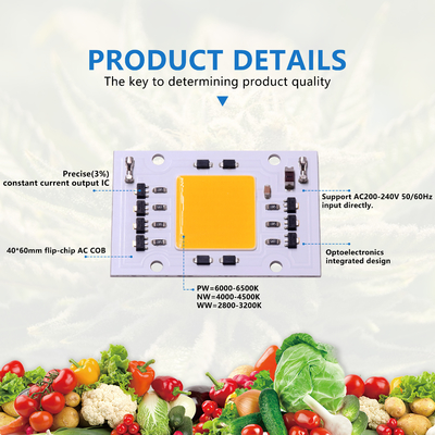 Ηλεκτρονικό ρεύμα 200-240V COB LED Chips DOB 4060 30W 50W Για εξωτερικό φωτισμό LED