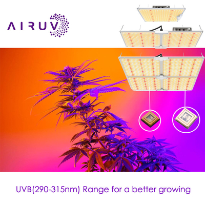 10w 20w 100w UVA UVB UVCLED COB Υψηλή αποτελεσματικότητα 365nm 385nm 395nm Κόστος-αποτελεσματική LED