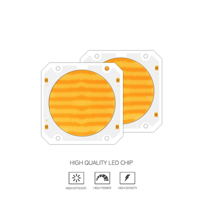 OEM ODM μήκος κύματος BI Χρώμα 205V SMD LED chip Ζεστό λευκό + λευκό 6060 SMD LED chips Εκπομπή