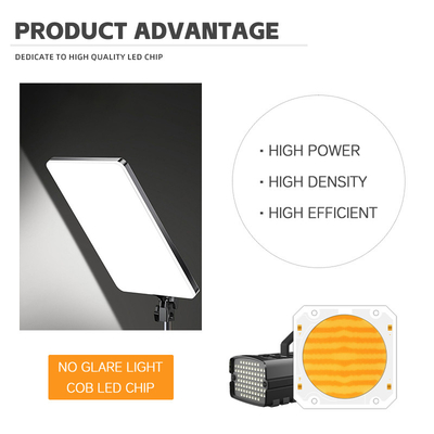 OEM ODM μήκος κύματος BI Χρώμα 205V SMD LED chip Ζεστό λευκό + λευκό 6060 SMD LED chips Εκπομπή