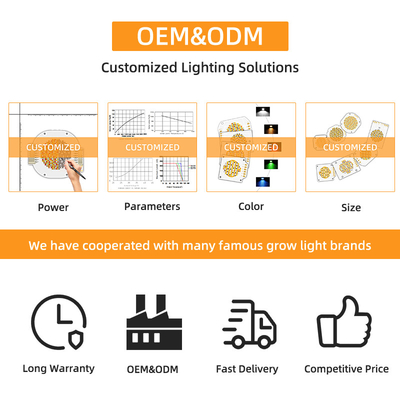 Υψηλής ισχύος Bi Color 300W 6060 Flip Chip Custom Cob Led Chip για εμπορικό Led Light Φως σκηνής