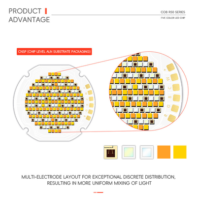 ΣΕΡΙΑ R50 Υψηλής ισχύος Πέντε χρώματα COB LED Chip 300W/700W Ζεστό Λευκό Κόκκινο Πράσινο Μπλε RGB UV IR υπέρυθρο Φως Πλημμύρας