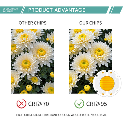 Φαρμακευτική τιμή 60X60MM Bi Color LED Chips SMD LED Panel Full RGB Color Beads 200W Chip