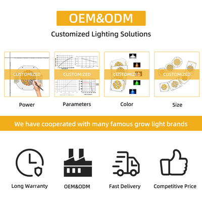 LED COB Chip 200W VF 45V LED Beads DIY Πλήρες φάσμα Προσαρμόσιμο