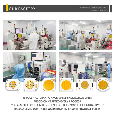 40x55mm COB Light Board LED Surface Light Source Cold and Warm Φυσικό Λευκό Μπλε Κόκκινο 75V 300W Led Chip
