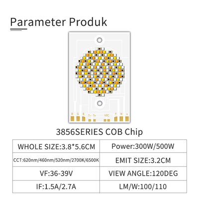 Ειδικό φως για φωτογραφικές λάμπες 3856 300W 500W 2700k 3000k 4000k 5000k 6000k 6500k 36V 39VOEM/ODM