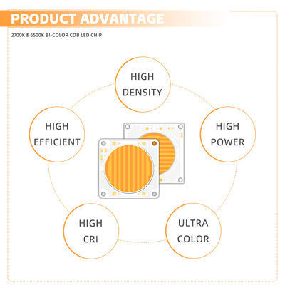 57V Cob Light Source 150W 200W Μόνιμη τάση Ζεστή λευκή Δυοχρωματική προαιρετική χονδρική υποστήριξη