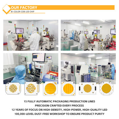 Εξατομικευμένο υλικό αλουμινίου COB Chip 2424 σε Λευκό Μπλε Κόκκινο & Πράσινο Υψηλής Φωτεινότητας Κίνας