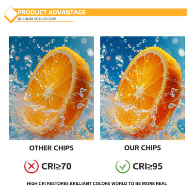 Εξατομικευμένο υλικό αλουμινίου COB Chip 2424 σε Λευκό Μπλε Κόκκινο & Πράσινο Υψηλής Φωτεινότητας Κίνας