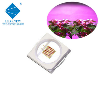 1W SMD 3030 Μπλε LED Chip Φωτισμού Καλλιέργειας 440-470nm 300mA 3.0-3.4V