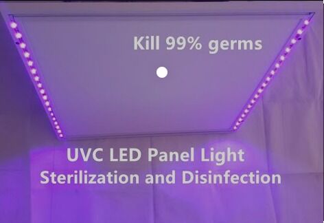 1W 225nm UVC Pick up 233.8nm Led Οπτική Ισχύς 2-3mW 6-8V 150mA SMD 3.8mm UV-C LED Δίοδος 60° Θολωτός Φακός