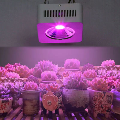 200W Full Spectrum COB LED Grow Light Πολυκύκλωμα Αλουμίνιο