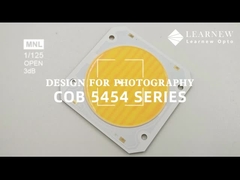 5454 Διπλό χρωματικό τσιπ θερμοκρασίας