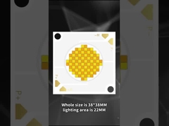 3838 διπλού χρώματος COB LED